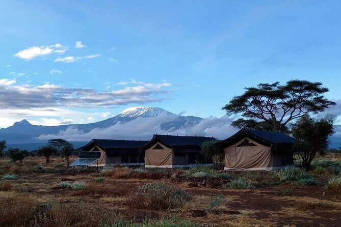 Day Tour to Amboseli National Park from Nairobi - Duration and Value