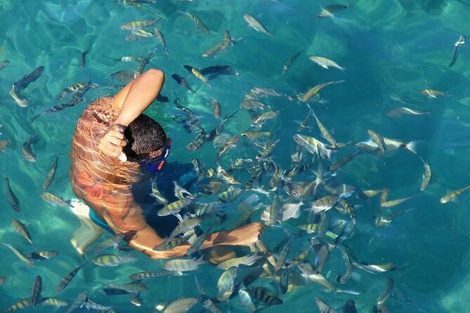 day-tour-to-angra-dos-reis-and-ilha-grande