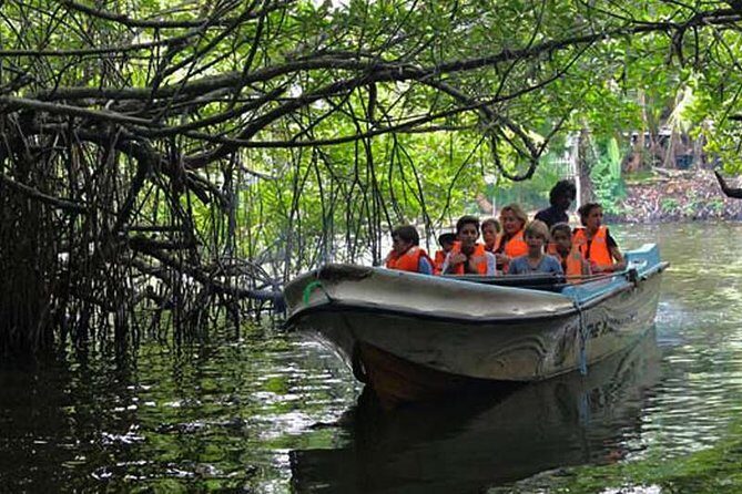 Day Tour to Bentota from Negombo - An In-Depth Look at the Tour Itinerary