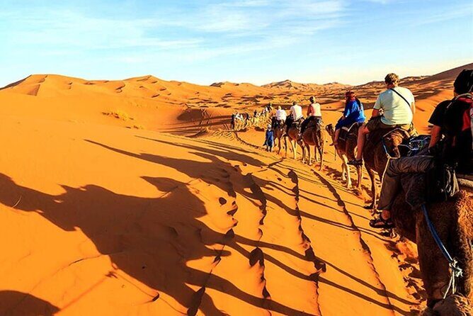 Day Tour To Cairo and Giza Pyramids from Alexandria Port - A Closer Look at the Itinerary and What to Expect