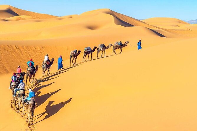 Day Tour To Cairo and Giza Pyramids from Alexandria Port - Who Would Love This Tour?