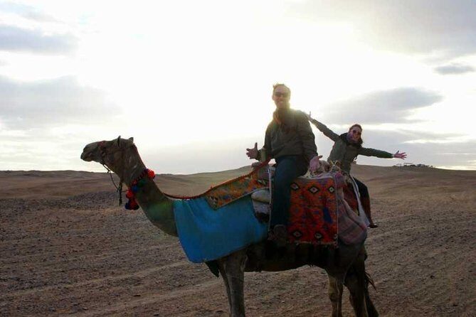 Day Tour To Cairo By Plane From Sharm El Sheikh Private Guided Tour - Why This Tour Offers Great Value
