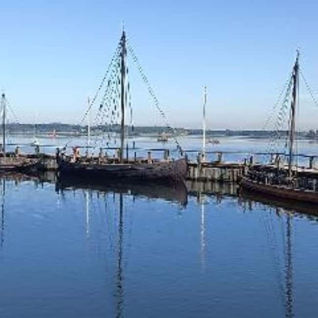 Day tour to: Cathedral, Viking Ships & a renaissance Palace - Who Will Benefit Most from This Tour?