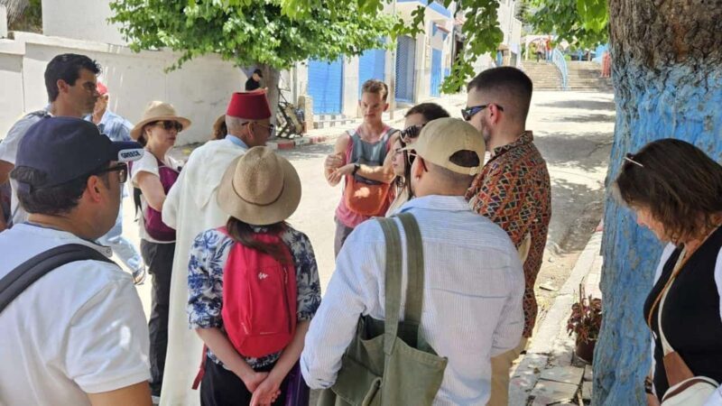 Day Tour to Chefchaouen from Fes with Local Expert - Authentic Insights from Travelers