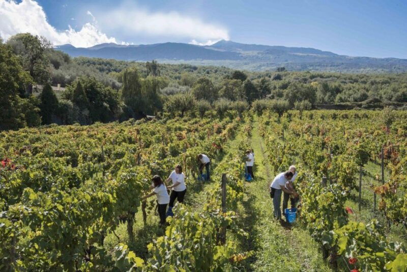 day-tour-to-etna-volcano-winery-and-taormina-from-catania