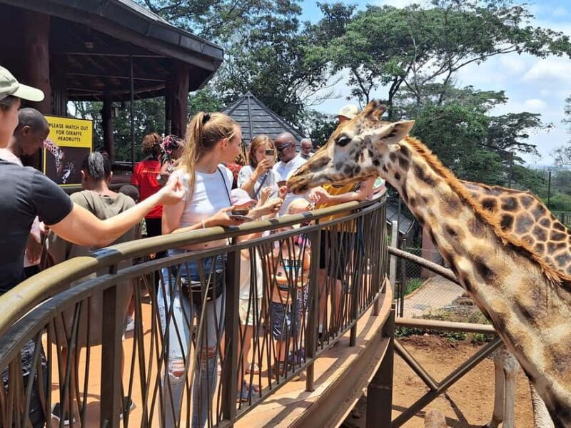 Day Tour to Giraffe Center and Karen Blixen Museum - Key Points