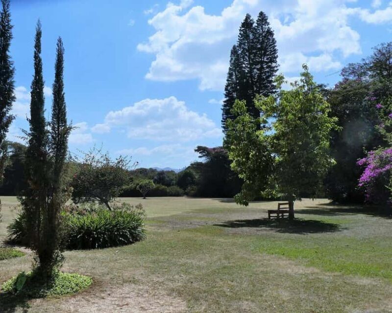Day Tour to Giraffe Center and Karen Blixen Museum - Authentic Experiences and Personal Touches