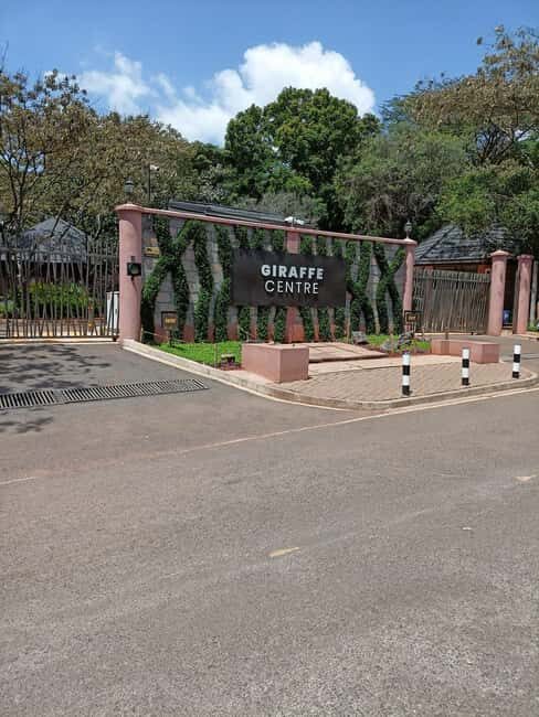 Day Tour To Giraffe Center, Baby Elephant And Nairobi Park - Key Points
