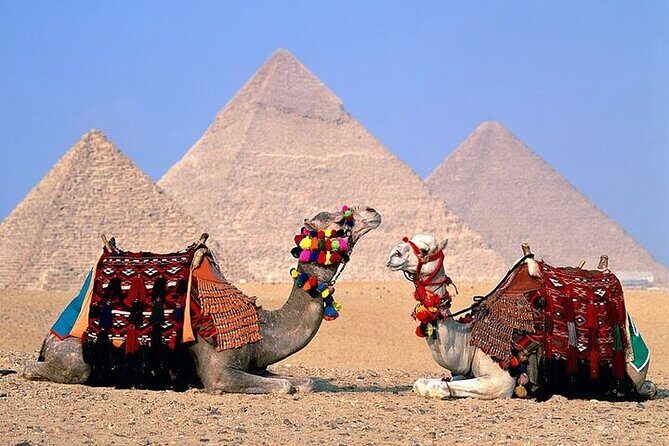 Day tour to Giza Pyramids, Memphis and Sakkara - Authentic Insights from Reviewers