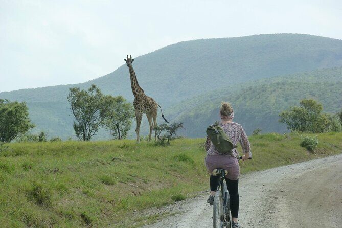 Day tour to Hells Gate, Lake Naivasha and Crescent Island Walk - Final Thoughts