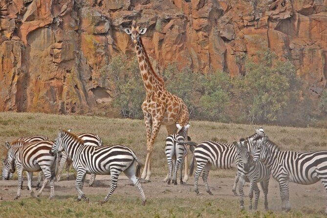 Day tour to Hells Gate, Lake Naivasha and Crescent Island Walk - Final Words