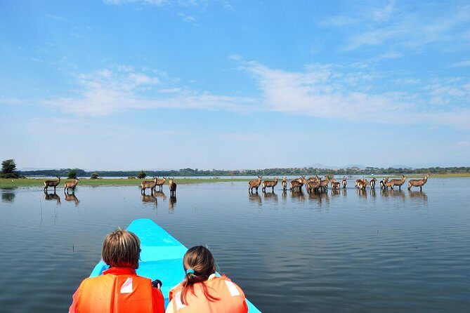 Day tour to Hell's Gate National park and optional Boat ride on lake Naivasha - Who Should Consider This Tour?  