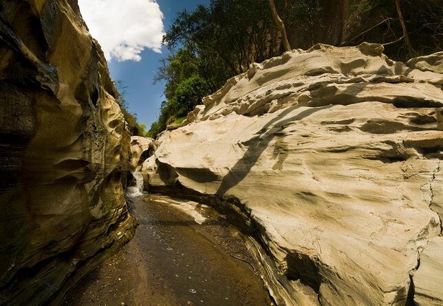 Day Tour To Hell's Gate National Park and Optional Boat Ride on Lake Naivasha. - Key Points