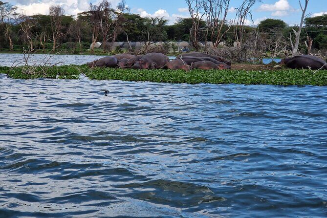Day Tour To Hell's Gate National Park and Optional Boat Ride on Lake Naivasha. - Lake Naivasha and the Boat Ride