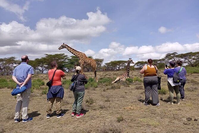 Day Tour To Hell's Gate National Park and Optional Boat Ride on Lake Naivasha. - FAQ