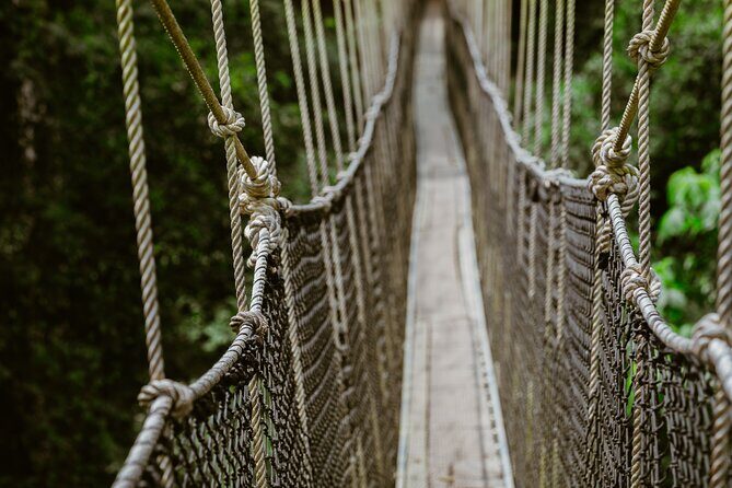 Day Tour to Kakum National Park, Cape Coast and Elmina Castle - The Practical Details