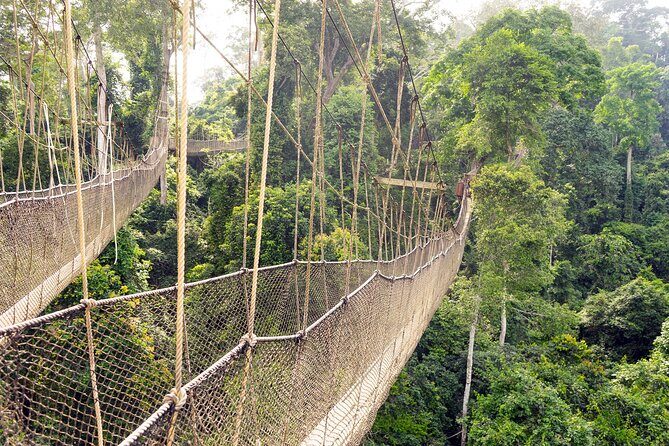 Day Tour to Kakum National Park, Cape Coast and Elmina Castles - What’s Included and What to Consider