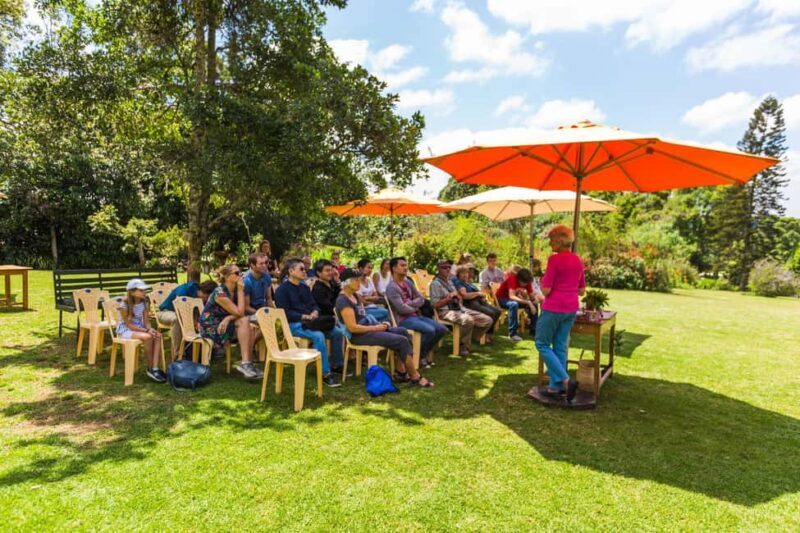 Day Tour to Kiambethu Tea Farm in Limuru - Full Experience Breakdown