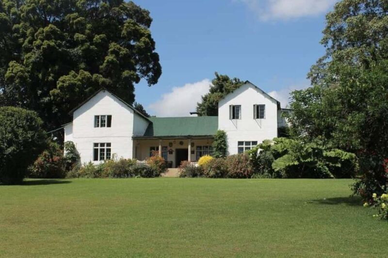 Day Tour to Kiambethu Tea Farm in Limuru - Practicalities and Value