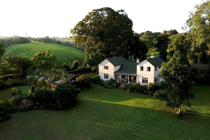Day Tour To Kiambethu Tea Farm in Limuru - Exploring Native Flora and Wildlife