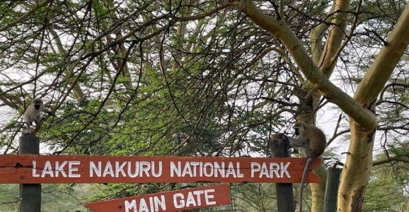 Day tour to Lake Naivasha and Hells Gate Park from Nairobi - What to Expect on Your Day Trip to Lake Naivasha and Hells Gate