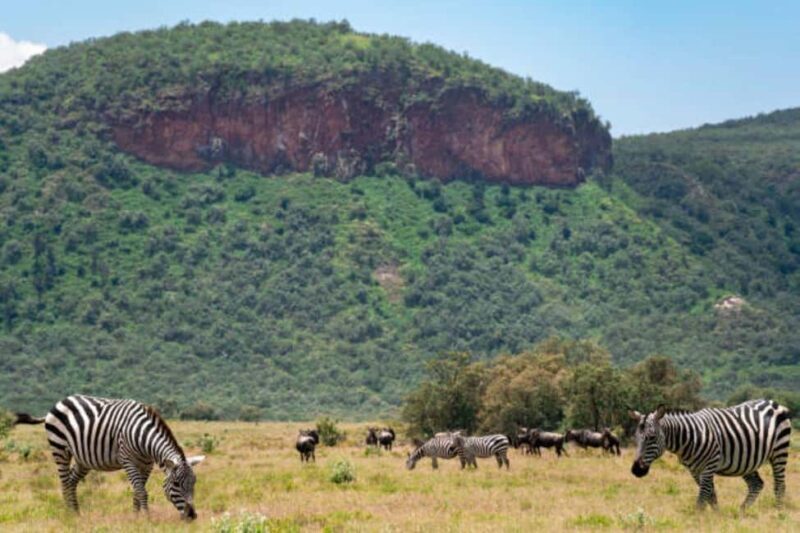 Day tour to Lake Naivasha and Hells Gate Park from Nairobi - FAQ
