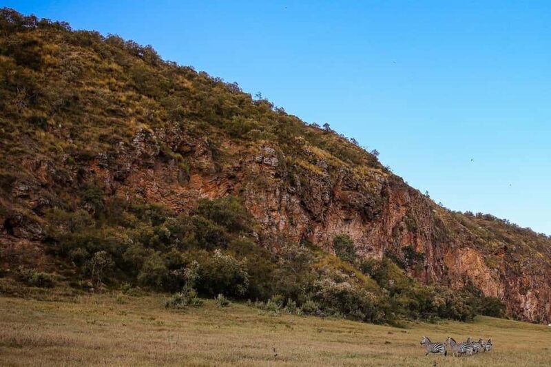Day tour to Lake Naivasha and Hells Gate Park - Who Would Love This Experience?