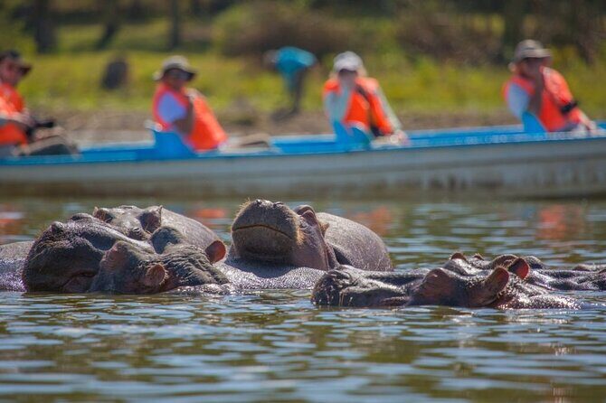 Day Tour to Lake Naivasha, Hell's Gate and Spa - Who Should Consider This Tour?