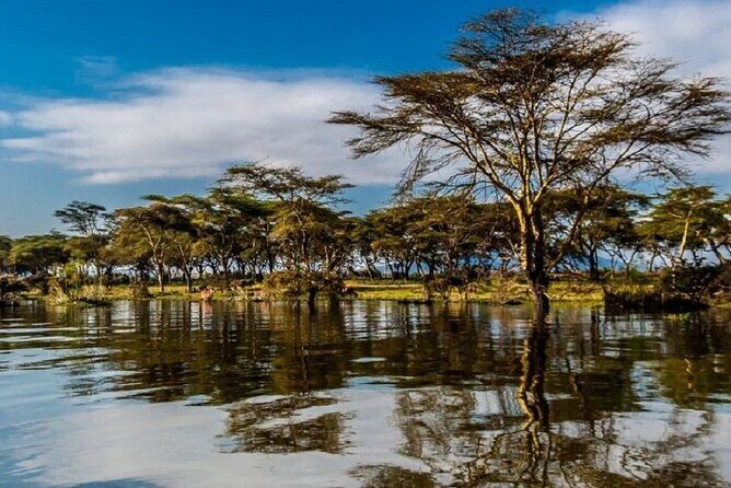Day Tour to Lake Nakuru with optional boat ride in Lake Naivasha - The Sum Up
