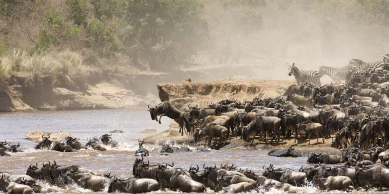 Day Tour to Maasai Mara Game Reserve from Nairobi. - Who Will Love This Tour?