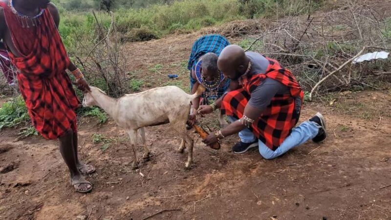 Day Tour to Masai Village From Nairobi - Key Points  