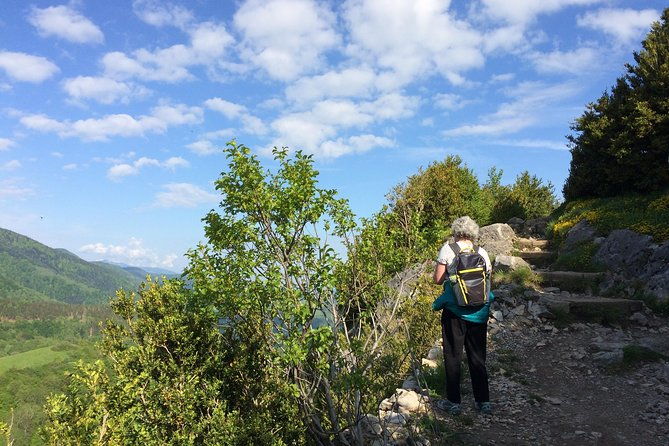 day-tour-to-mirepoix-montsegur-camon-private-tour-from-carcassonne