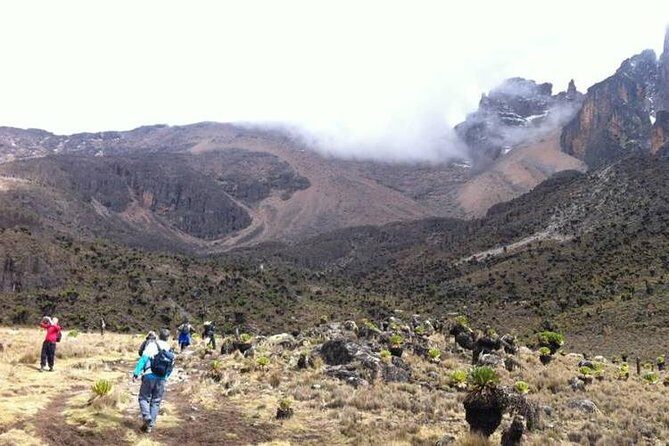 Day Tour To Mt. Kenya - Key Points