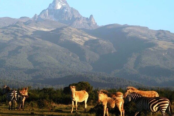 Day Tour To Mt. Kenya - FAQ