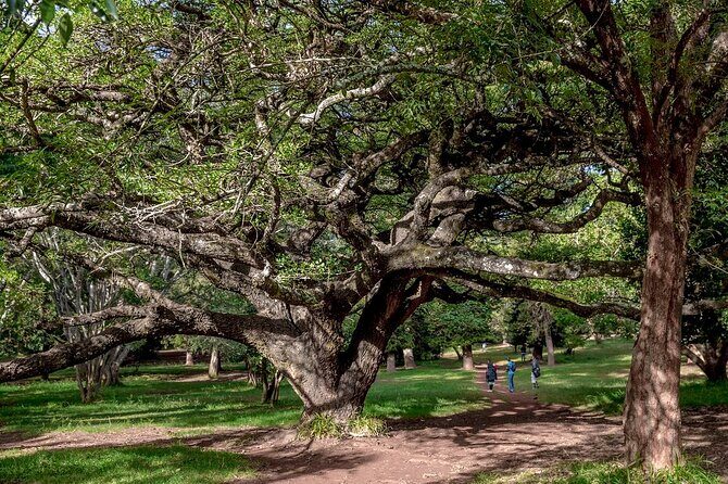 Day Tour to Nairobi Arboretum and Nairobi National Museum - Key Points  