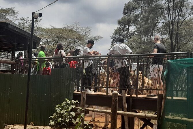 Day Tour to Nairobi national park, Elephants, and Giraffe Center - Authentic Insights from Tour-Goers