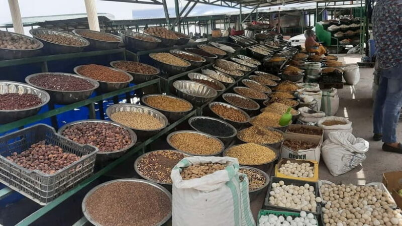 Day Tour to Nurek reservoir and Dam from Dushanbe - What Sets This Tour Apart