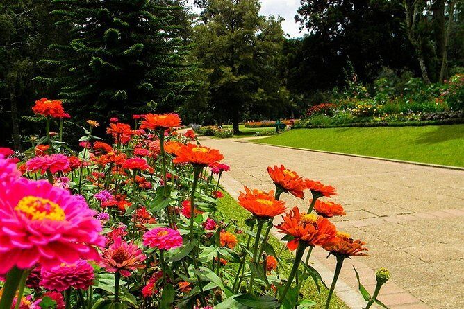 Day Tour to Nuwara Eliya from Kandy by Lux Tours Lanka - A Closer Look: What to Expect on the Tour