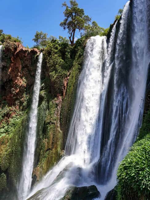 Day Tour to Ouzoud waterfalls with Boat Trip from Marrakech - Key Points