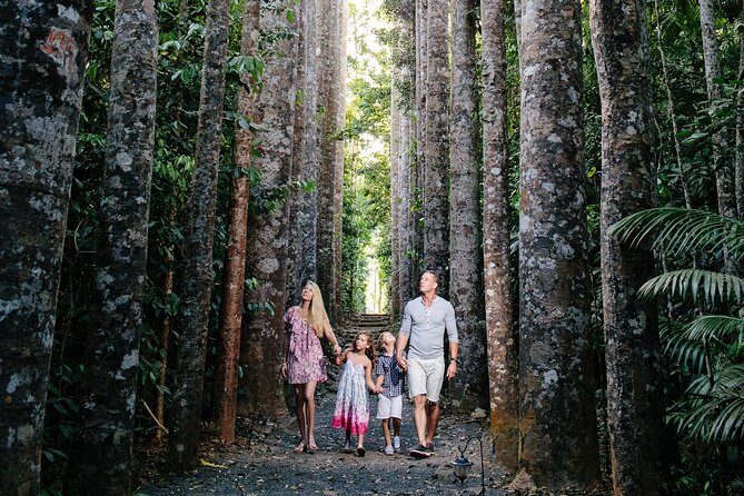 Day Tour to Paronella Park, Lake Barrine and Millaa Millaa Falls - Discovering the Magic of the Atherton Tablelands