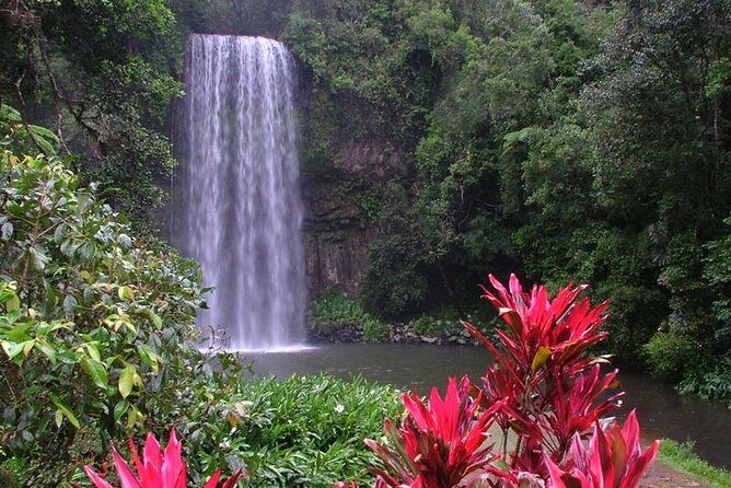 Day Tour to Paronella Park, Lake Barrine and Millaa Millaa Falls - Transportation, Group Size, and Comfort