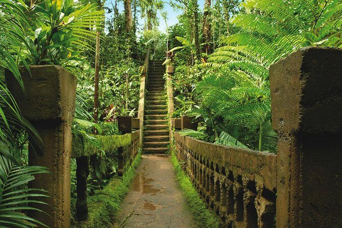 Day Tour to Paronella Park, Lake Barrine and Millaa Millaa Falls - FAQ