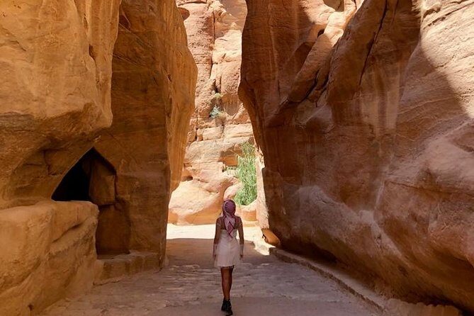 Day Tour to Petra from Amman - Authentic Experiences and Real Traveler Insights