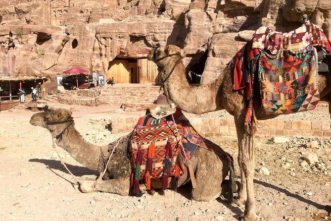 Day Tour to Petra from Aqaba - Exploring the Day Tour to Petra from Aqaba: An Honest Look