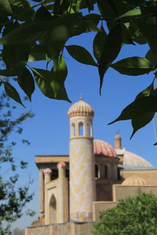 Day Tour to Samarkand from Tashkent via Bullet Train - Authentic Experiences and What Travelers Say