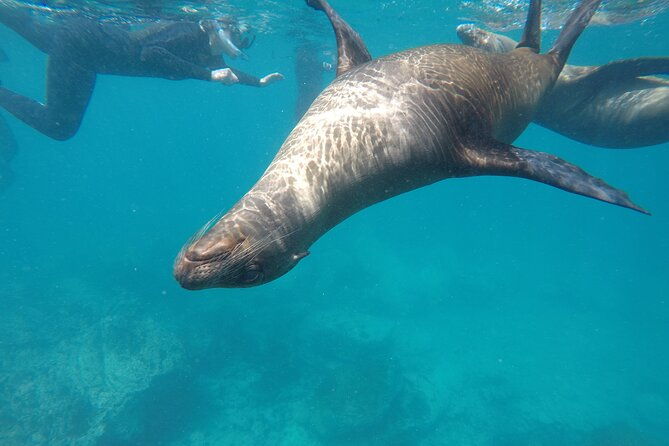 day-tour-to-san-cristobal-island-with-private-land-tour-and-snorkeling