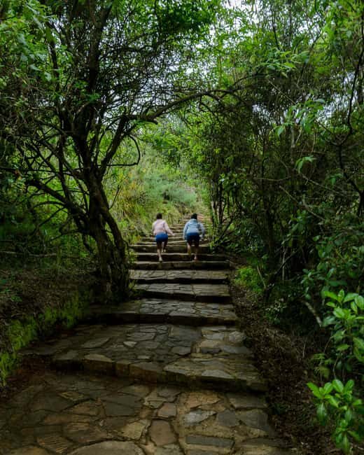 DAY TOUR TO SHIMBA HILLS NATIONAL RESERVE MOMBASA/ DIANI - Exploring Shimba Hills National Reserve: An Authentic Kenyan Wildlife Escape