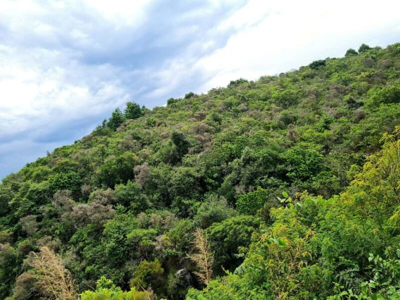 DAY TOUR TO SHIMBA HILLS NATIONAL RESERVE MOMBASA/ DIANI - Key Points