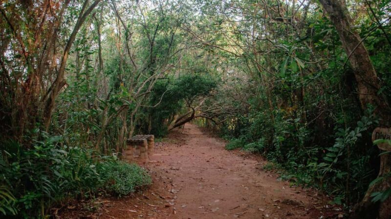 DAY TOUR TO SHIMBA HILLS NATIONAL RESERVE MOMBASA/ DIANI - Practical Details and Value