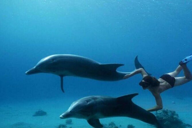 Day Tour to Snorkeling Trip to Giftun Island in Egypt - What You Can Expect from This Snorkeling Trip to Giftun Island